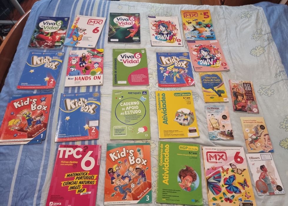 Livros escolares do 5º e 6°ano