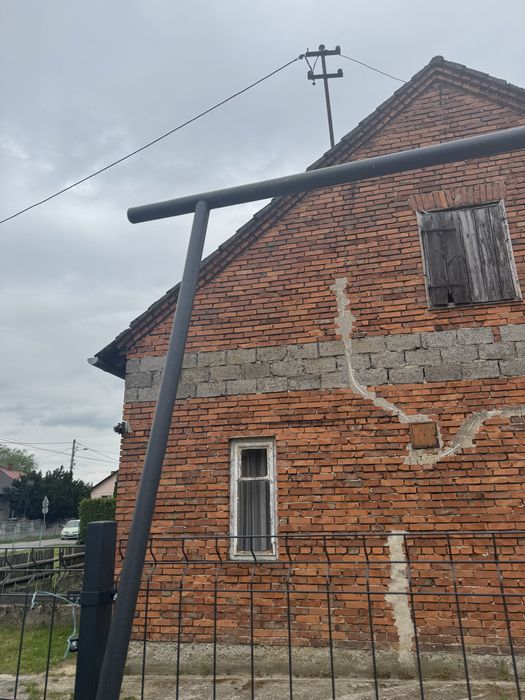 Trzepak ogrodowy grafit