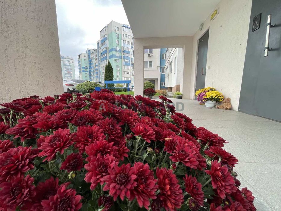 Прев'ю фото 18