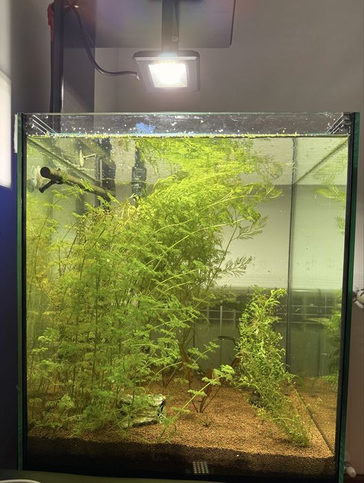 Aquario completo 100l