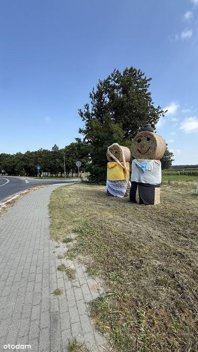 Działka w Żabnie gm Brodnica