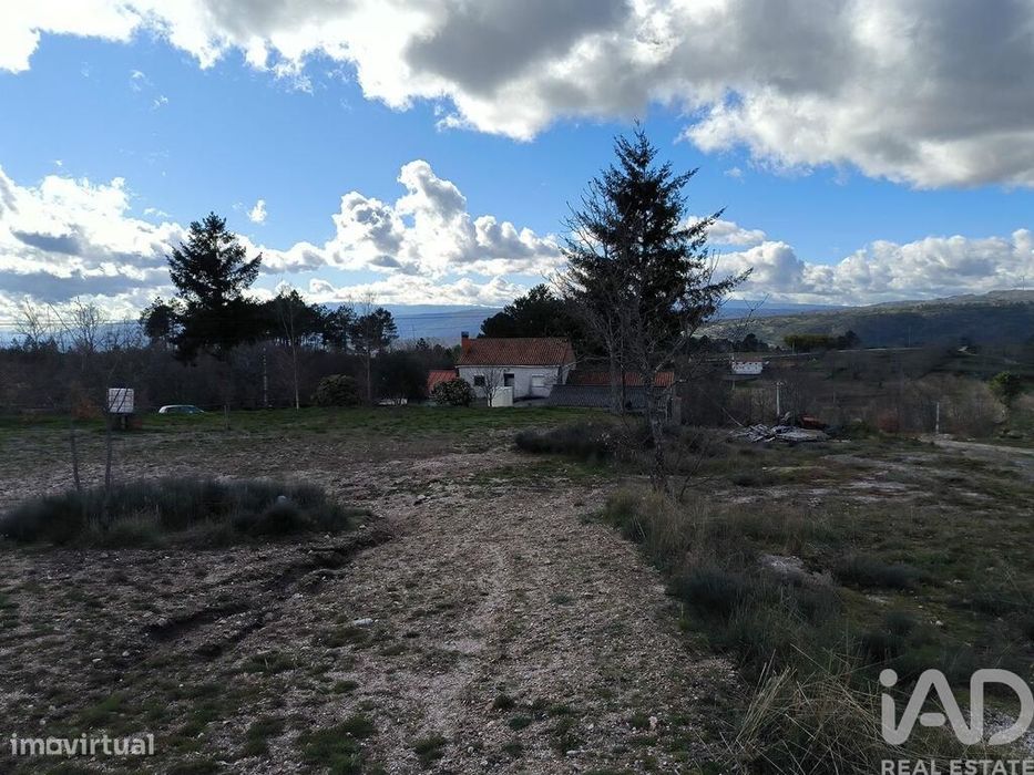 Quinta T5 em João Antão de 228,00 m2