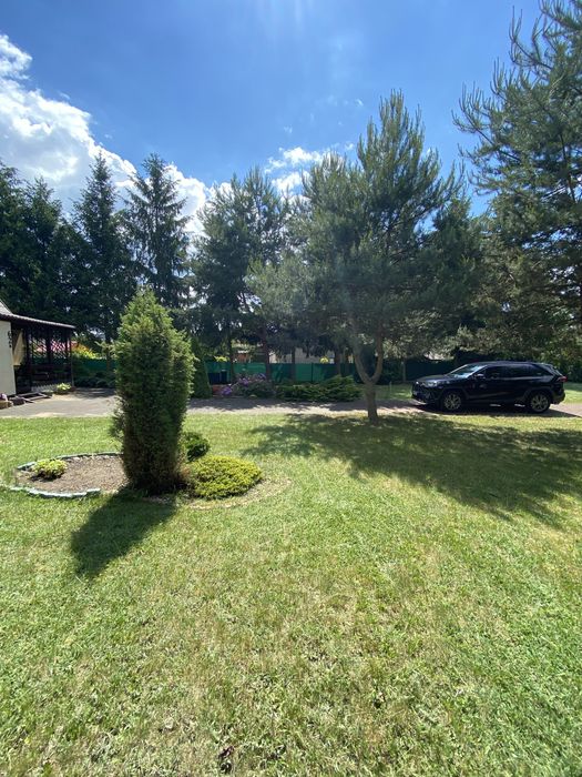 Działka budowlana Cieksyn 1000 m² - Widok 4