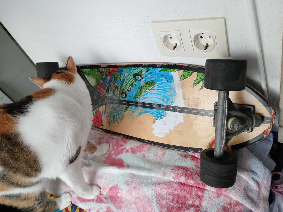 Skate longboard - bom estado