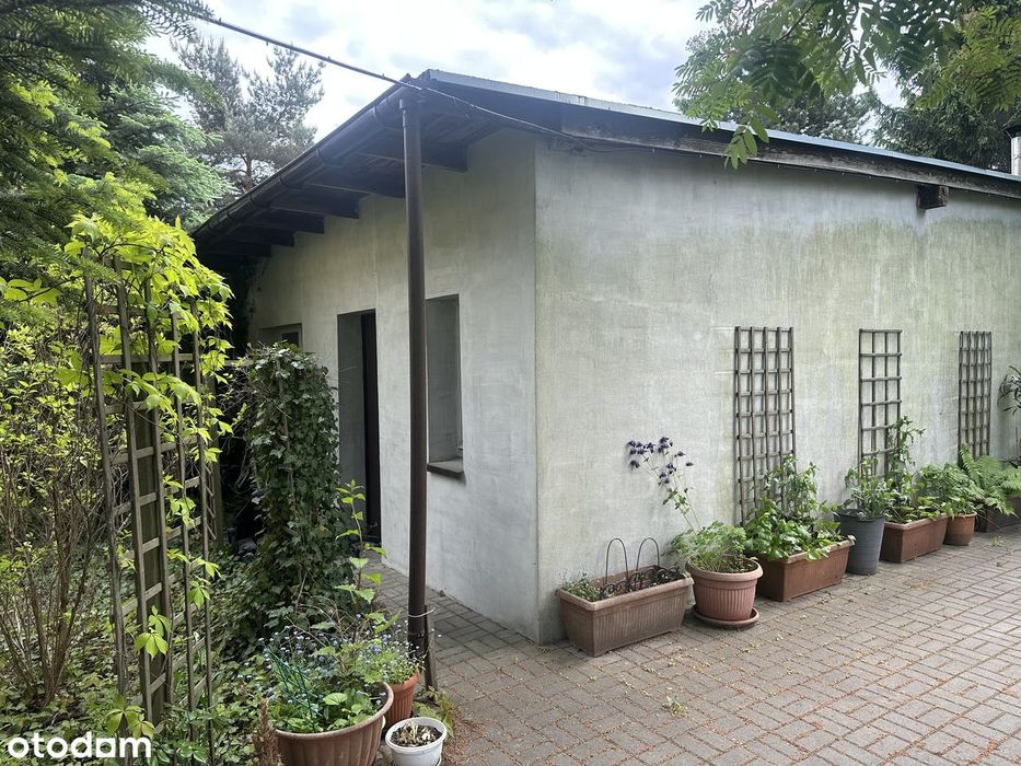 Piętro domu 78 m², ogródek , domek 40 m²,piwnica, udział w gruncie 556 m² - Widok 4