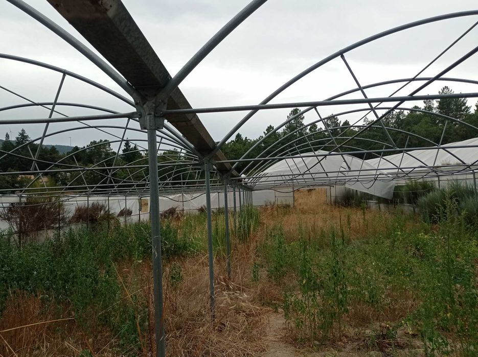 Estufa agrícola seminova