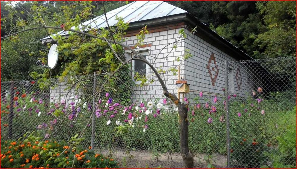 Будинок. Сумська обл. Конотопський р-н. с. Мутин