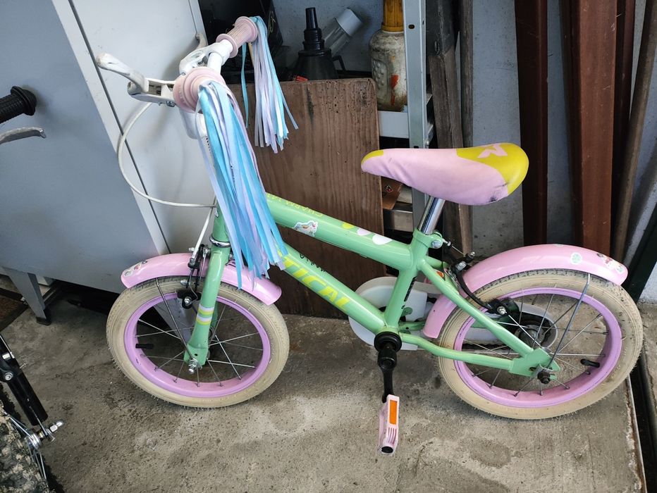 Bicicleta criança roda 14