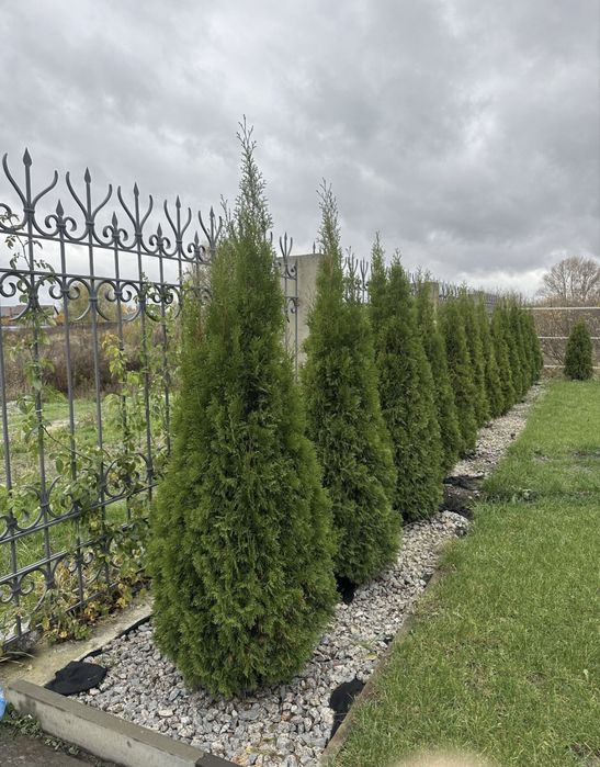 Продаж Нового сучасного Будинку 155 кв.м 10 сот