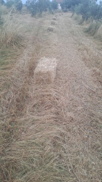 Fardos  de palha 2.5€