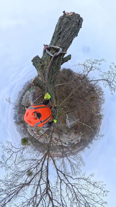 Видаленя дерев. З подрібненням, вивозом. Обрізка дерев