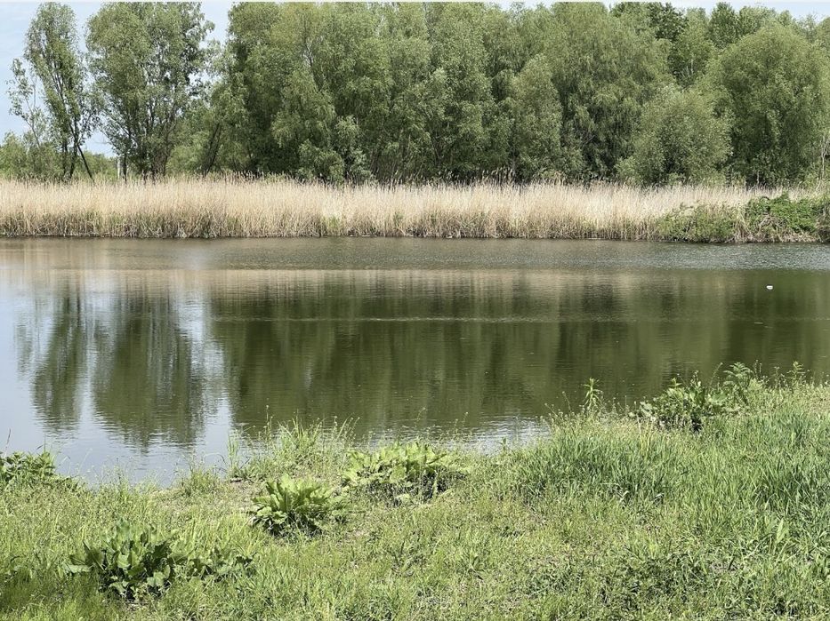 Продаж земельних ділянок від 5 с до гектарів на будь-який запит Броварський р-н