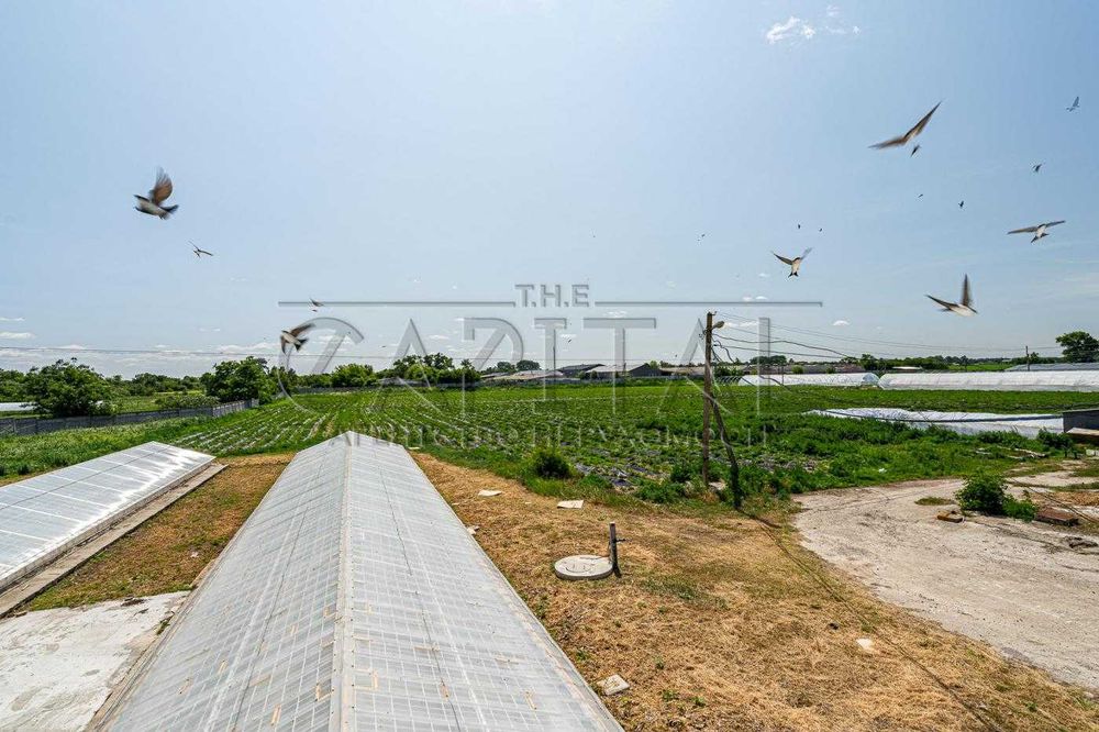 Продажа фермы, с. Русанов, Броварской р-н