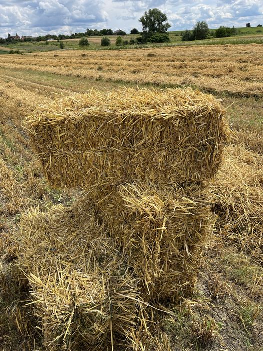 Продам солому в тюках