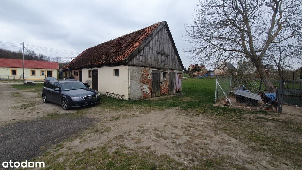 Bezczynszowe mieszkanie z ogródkiem | Kleczewo