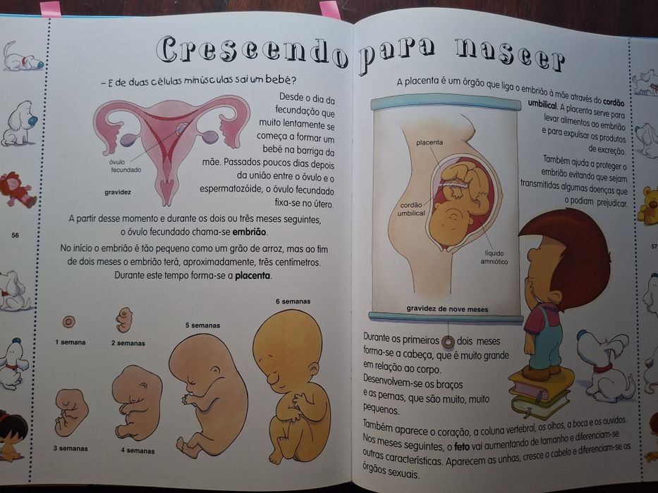 O Grande Livro da Sexualidade
