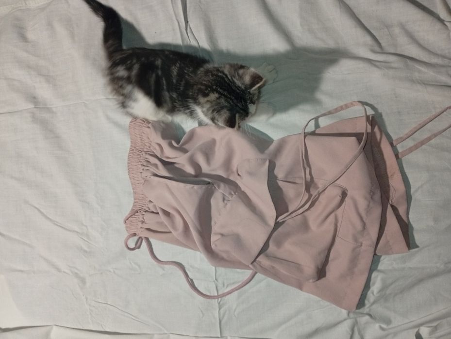 шорты shorts opium represent jaded london pink