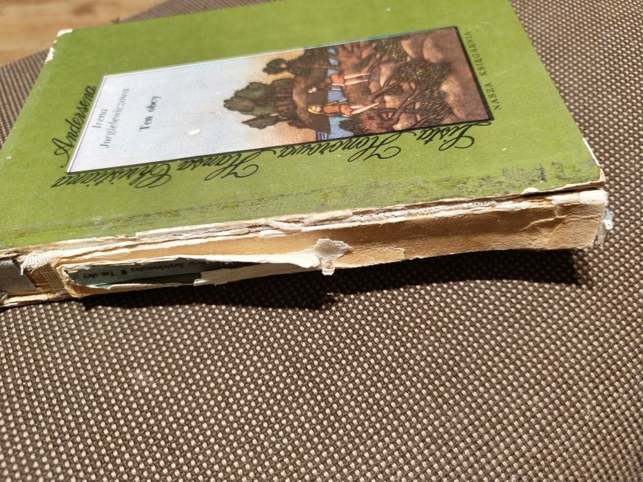 Irena Jurgielewiczowa Ten obcy