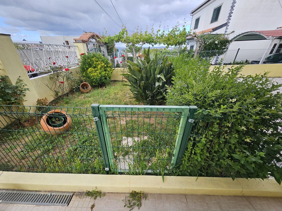 Limpeza de terreno e jardim