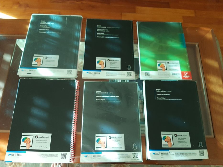 Diversos Manuais/Cadernos de actividades do 8° Ano.