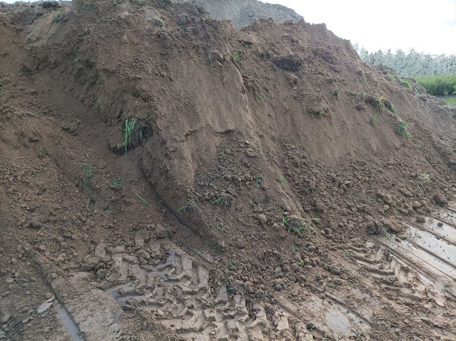 Ziemia ogrodowa, humus