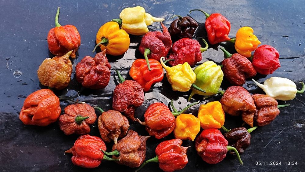 Надгострий перець Carolina Reaper сушений