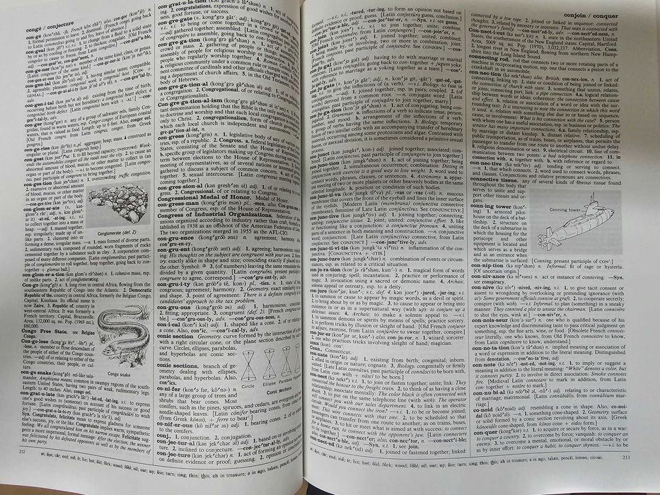 Collier's Encycolpedia - Edição 1994 completa Em inglês