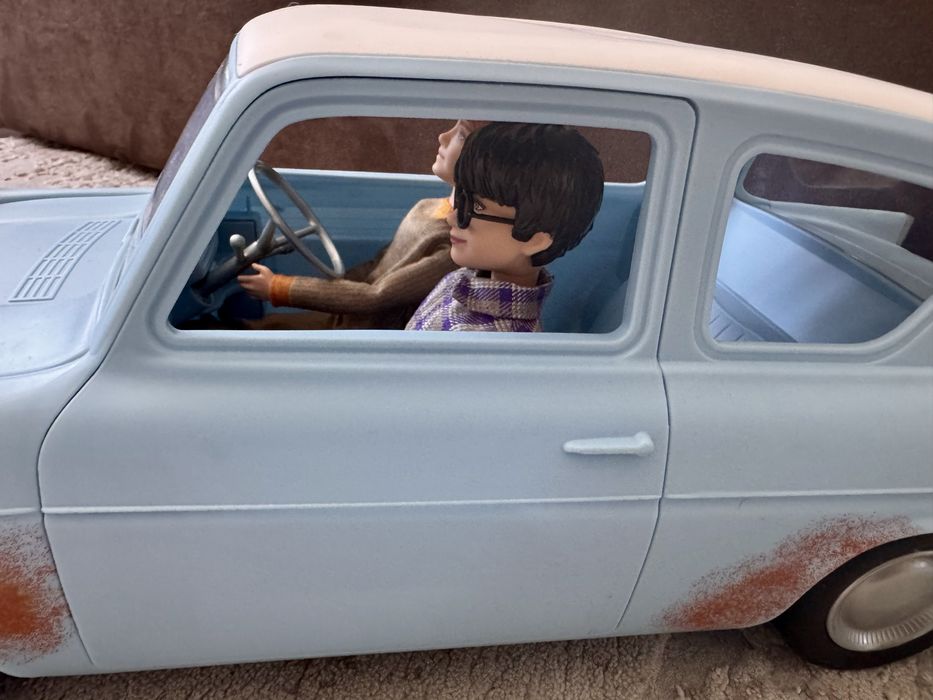 Ігровий набір Гаррі Поттер і Рон Візлі