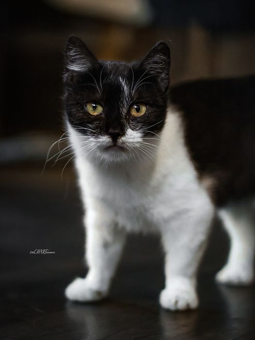 Malutka Müesli do kochania