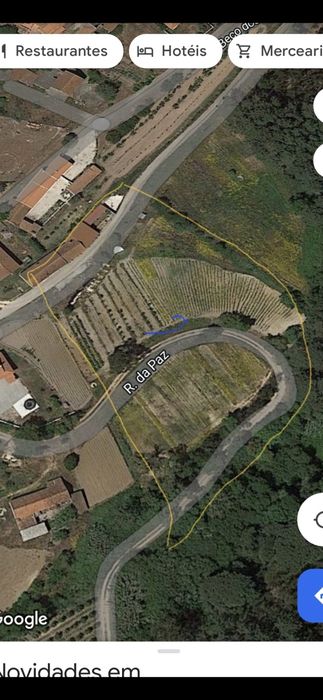 Quintatinha para alugar 6 km Caldas Da Rainha