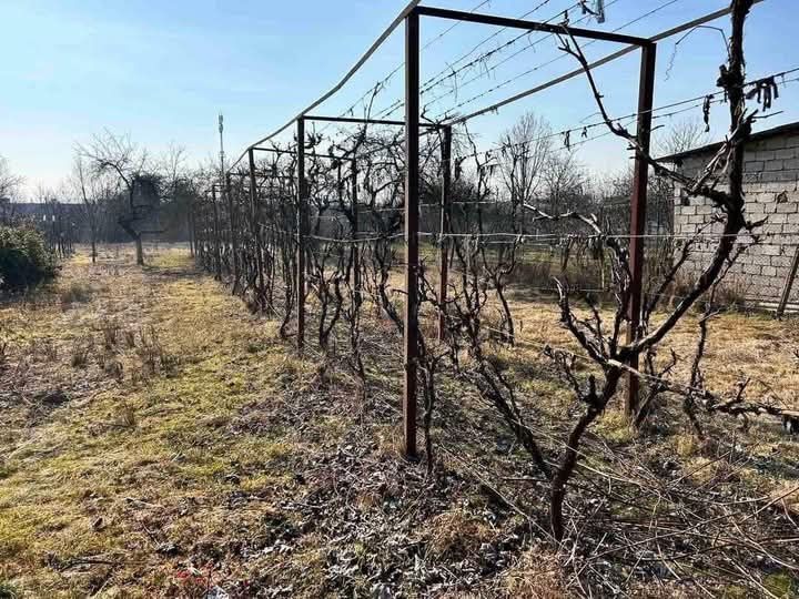 Продається земельна ділянка
