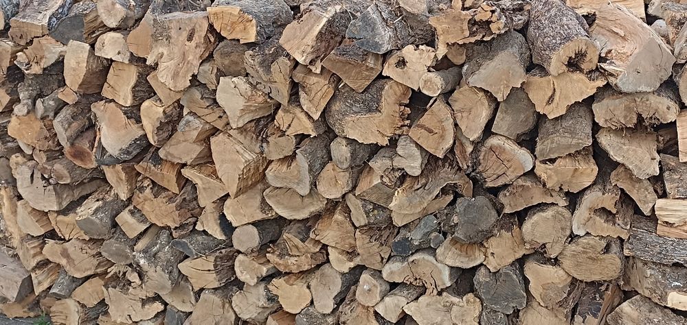 Lenha boa e seca de oliveira, eucalipto, etc, cavacas pequenas