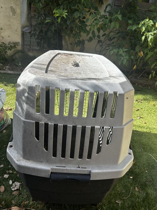 Transportadora cão