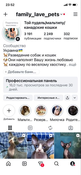 Канадский сфинксик