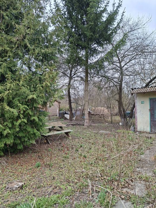 Działka ROD wiśniowy w Międzyrzeczu