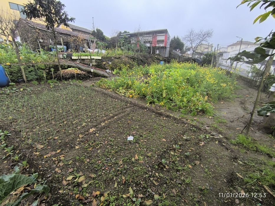 Oportunidade Terreno Urbano 1000m2