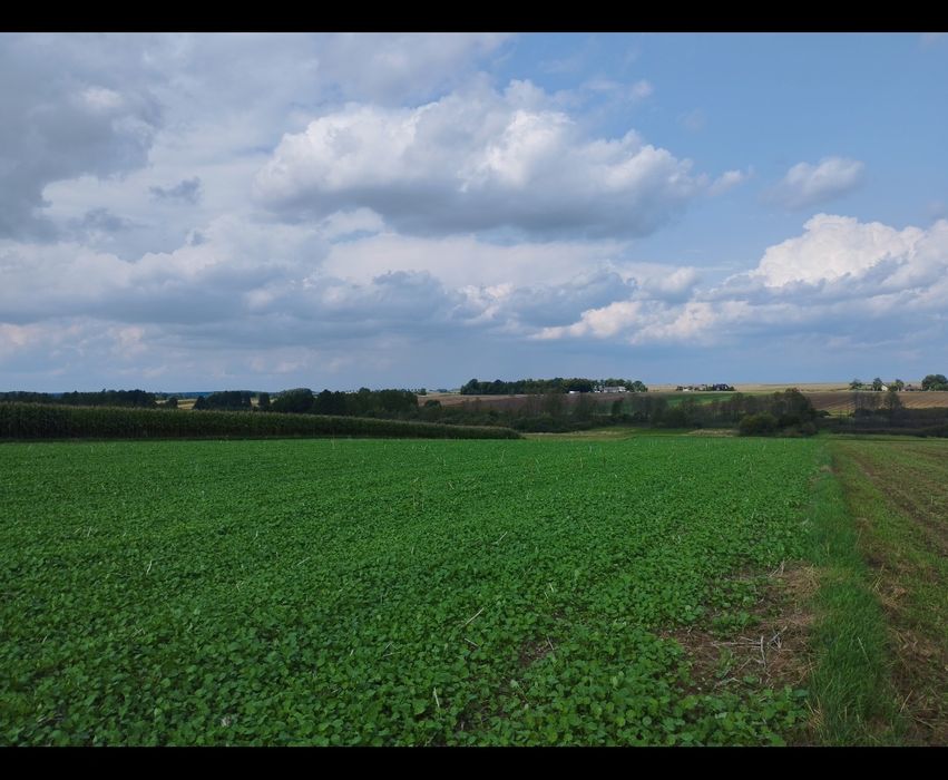 Sprzedam działkę z bezpośrednim dostępem do drogi