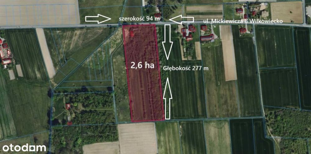 Wilkowiecko, działka budowlano - rolna 2,6 ha, szerokość 94 m