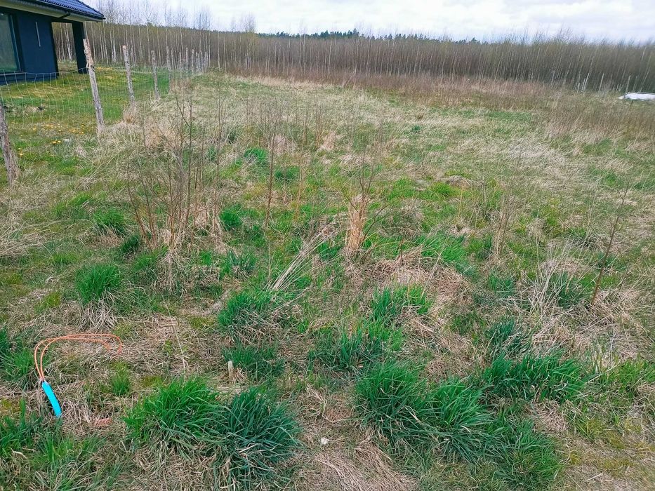 Sprzedam Działka budowlana Ostróda 1500m2