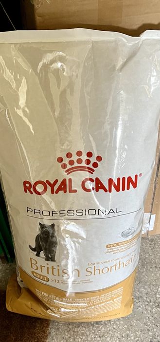 13kg British Shorhair Adult Koty Brytyjskie Royal Canin RC RoyalCanin