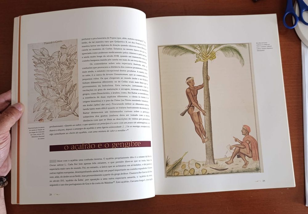 A Viagem dos Sabores - Rui Rocha