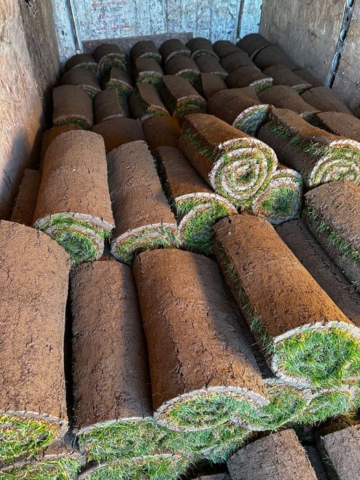 Рулоний газон, рулонна трава