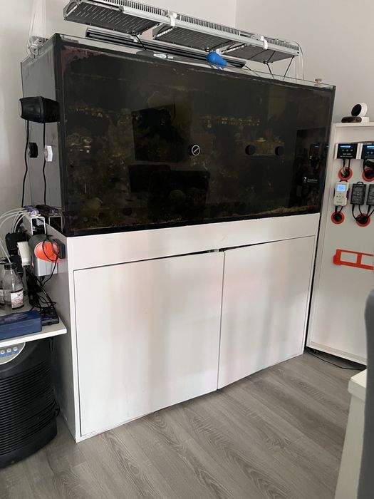Aquario agua doce ou salgada praticamente completo