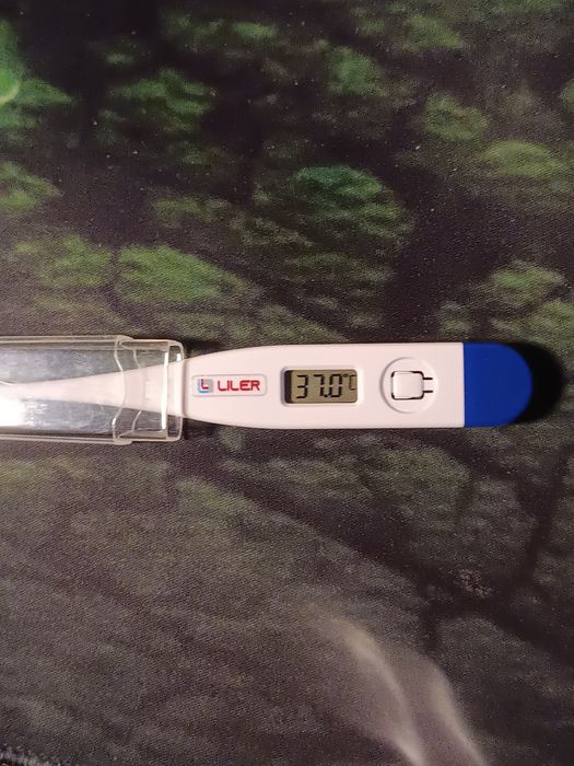 Termometr cyfrowy dmt-101 liler