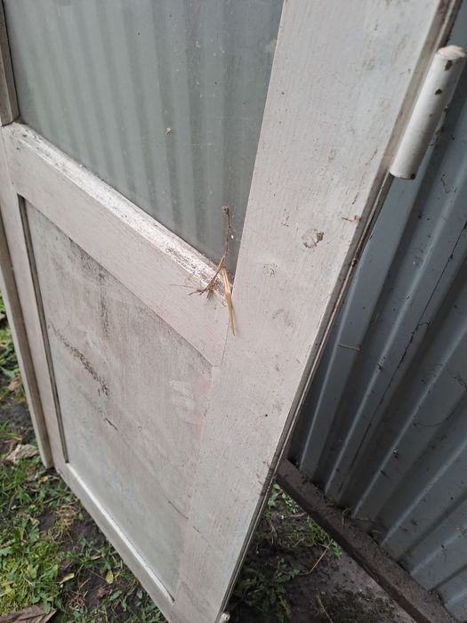 Drzwi drewniane, dębowe, dwuskrzydłkowe. Bardzo ładne