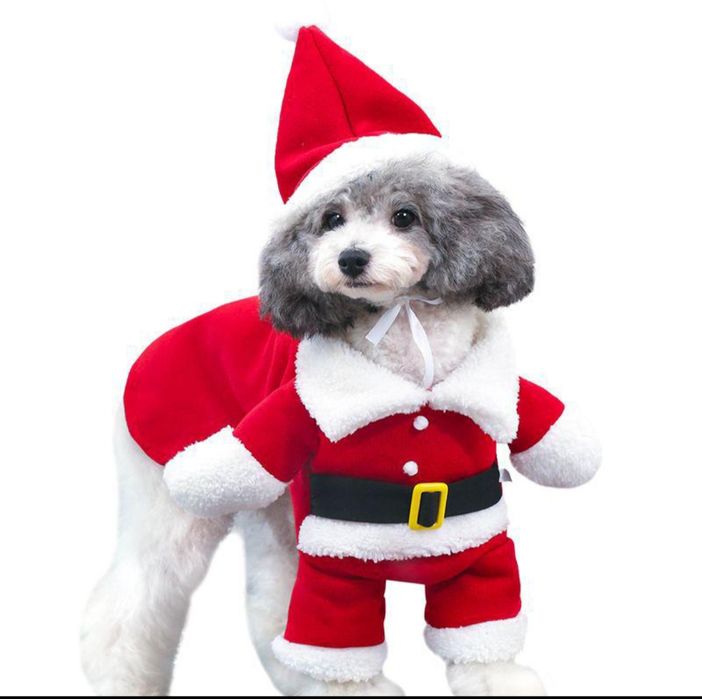 Новорічний костюм для собак