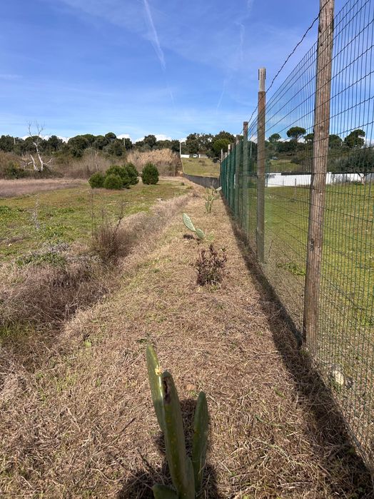 Manutenção de espaços verdes, jardinagem e limpeza de terrenos