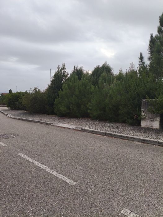 Podas, Jardinagem, Silvicultura e limpezas