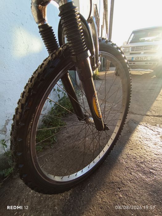 Bicicleta team F 100