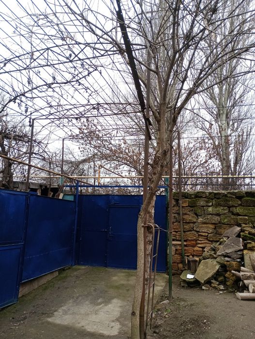 Продам дом Слободка 35 кв